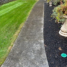 Concrete-Pressure-Washing-Surface-Cleaning 2